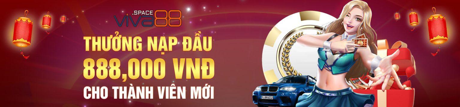 Giấy phép hợp pháp và năng lực vận hành của viva88